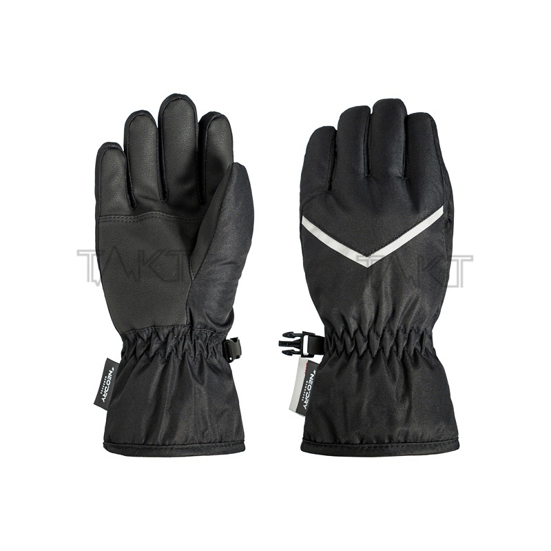 Ski Gloves