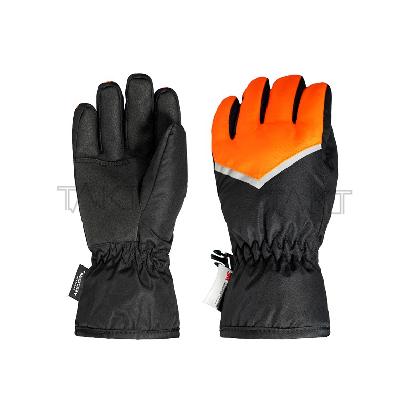 Ski Gloves