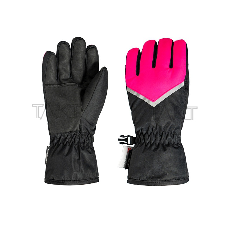 Ski Gloves