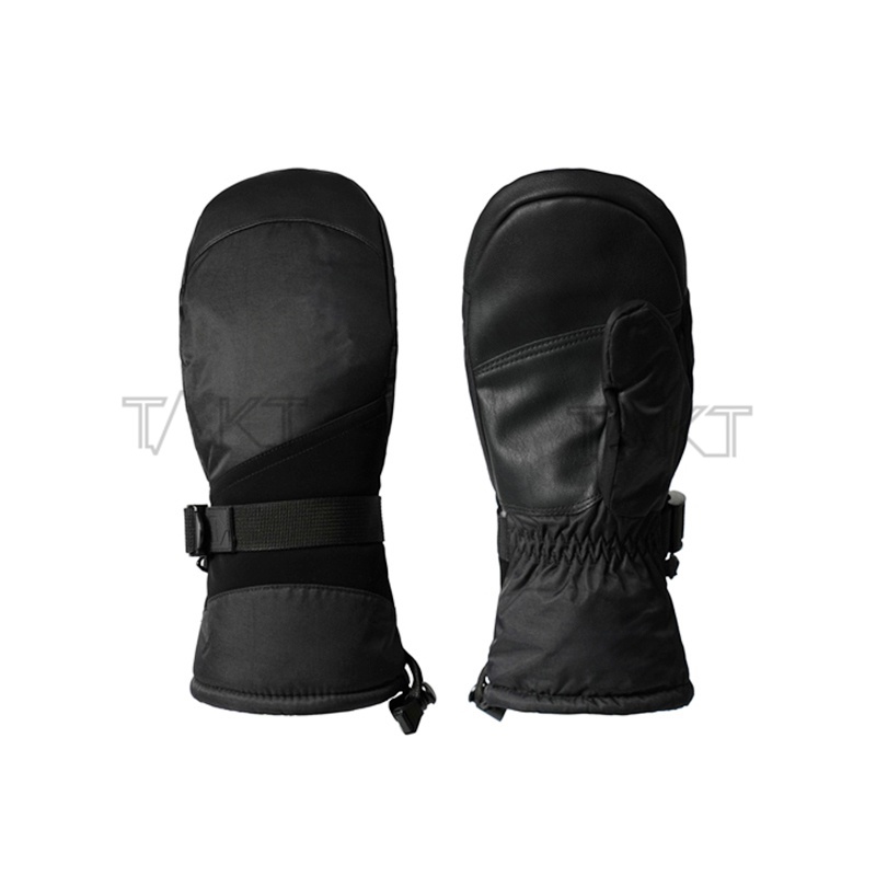 Ski Gloves