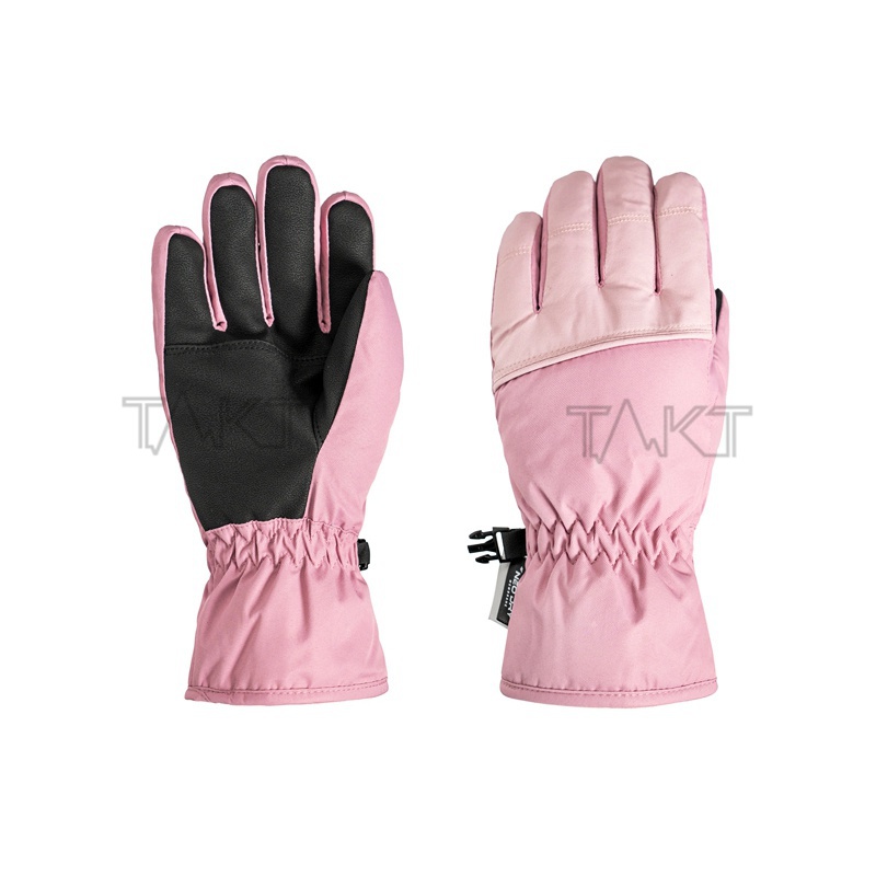 Ski Gloves