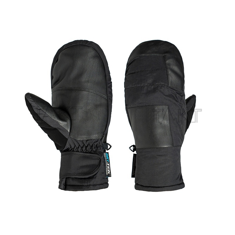 Ski Gloves