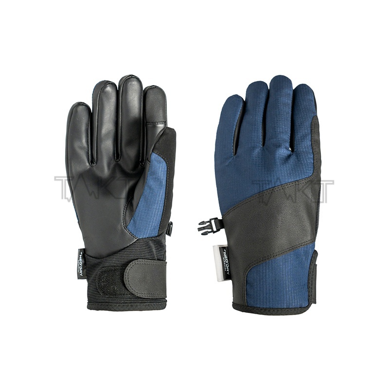 Ski Gloves