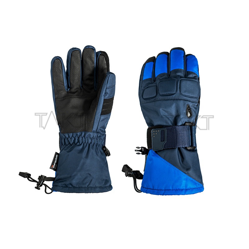 Ski Gloves
