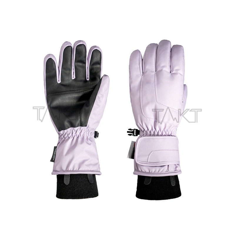 Ski Gloves
