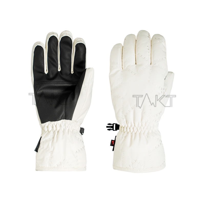 Ski Gloves