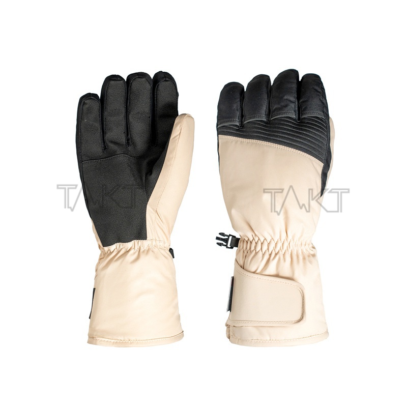 Ski Gloves
