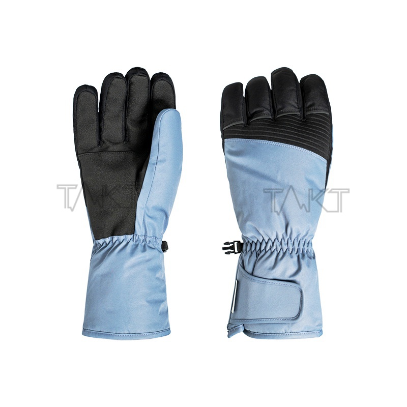 Ski Gloves