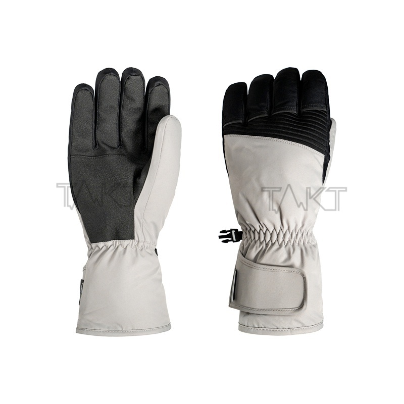 Ski Gloves
