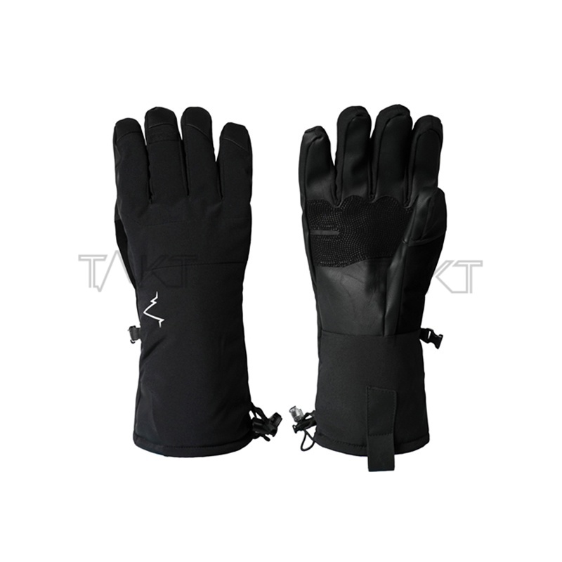 Ski Gloves