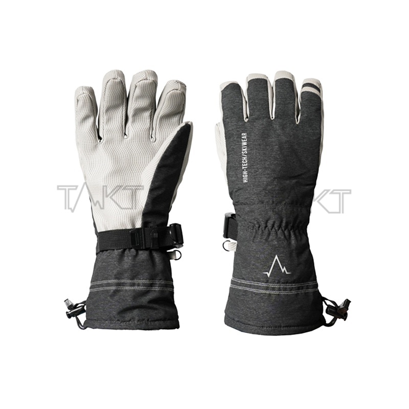 Ski Gloves