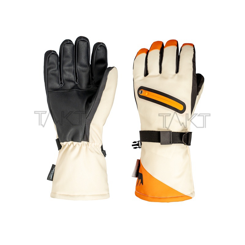Ski Gloves