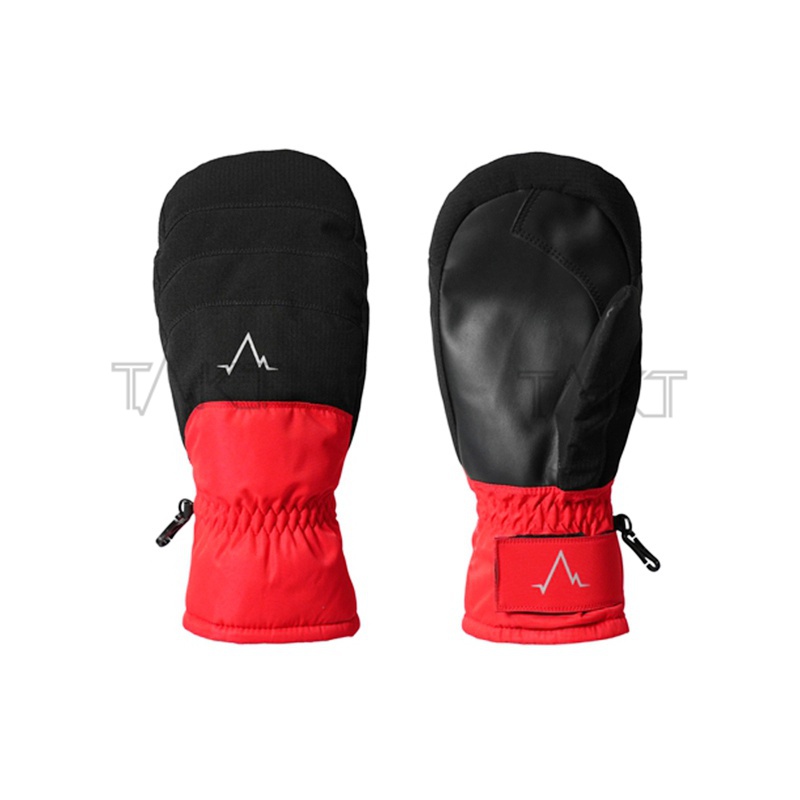 Ski Gloves