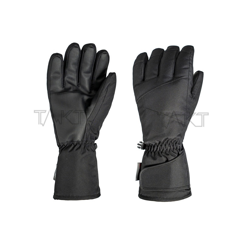 Ski Gloves