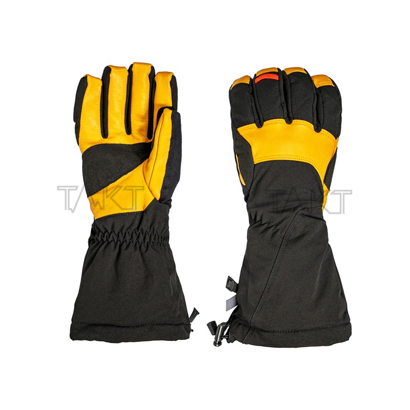 Ski Gloves