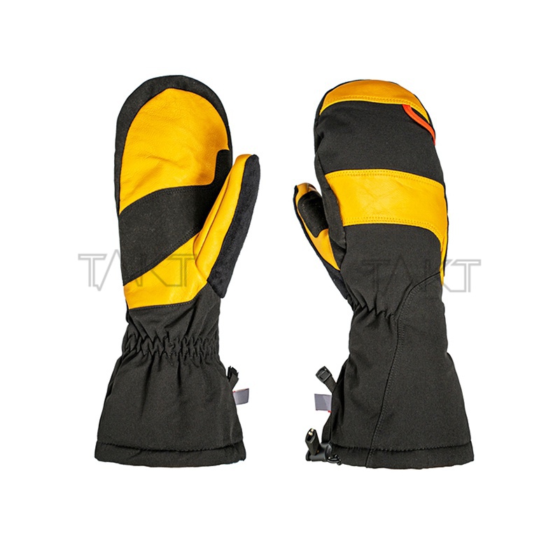 Ski Gloves