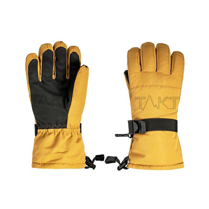 Ski Gloves