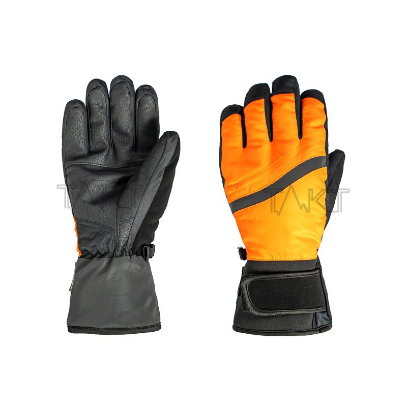 Ski Gloves