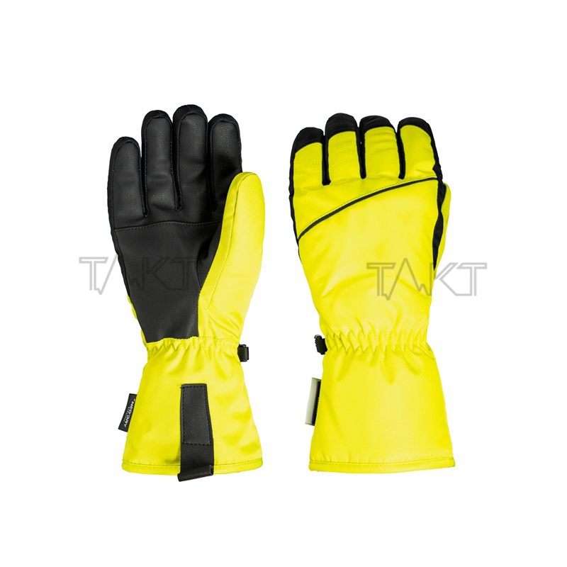 Ski Gloves