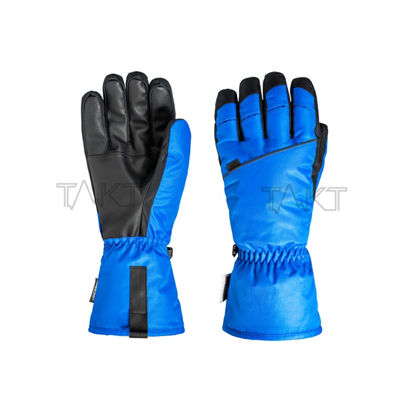 Ski Gloves