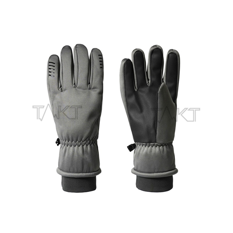 Ski Gloves