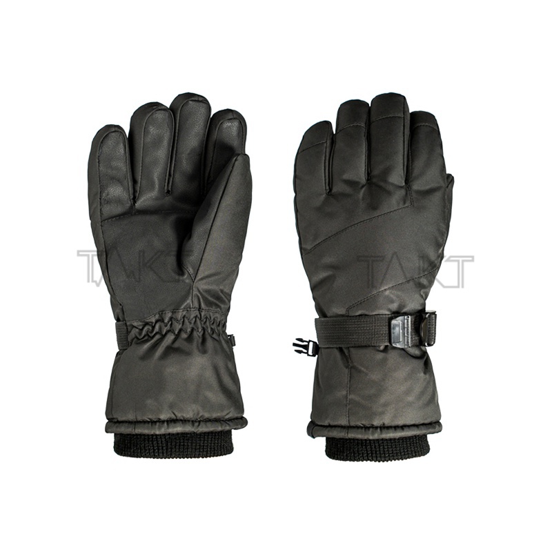 Ski Gloves